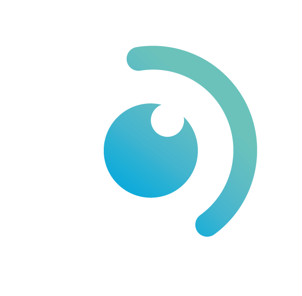 logo david limousin